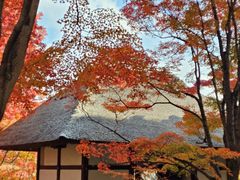 -常寂光寺