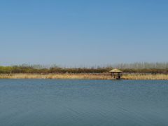 -西青郊野公园