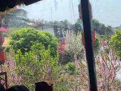 -玫瑰庄园·自助烧烤·烤全羊·团建拓展(龙泉山店)