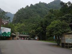 -大七孔景区-天生桥
