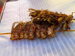 -纪录片《人生一串》体验店(静安店)