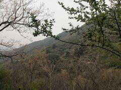 -香山公园