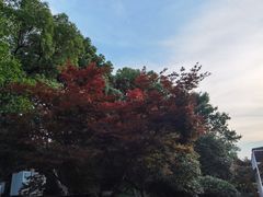 -杭州城北体育公园