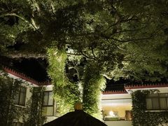 -普陀山雷迪森庄园