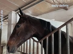 -月河湾马术俱乐部(朝阳店)