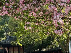 -铁像寺水街