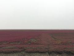 -红海滩国家风景廊道