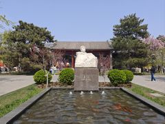 -北京鲁迅博物馆(北京新文化运动纪念馆鲁博馆区)