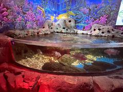 -沙沙哗啦海洋馆(华宇百花谷店)