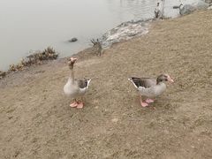 -西安浐灞国家湿地公园