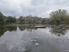 -白马涧龙池景区