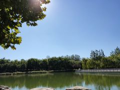 -大兴滨河森林公园