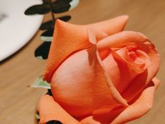 -佐度王子扒房(爱建卓展店)