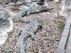 -龙达温泉生态城