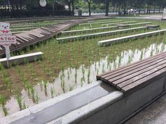 -证大喜玛拉雅中心
