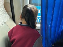 -观澜山水田园