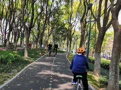 -GIANT捷安特自行车专卖店(金桥台儿庄路店)