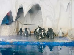 -太平洋海底世界