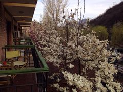 iphone_upload_pic-北京水岸山吧度假村(雁栖镇店)