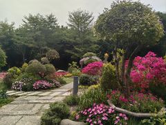 -厦门园林博览苑