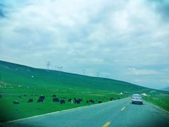 -青海湖国家重点风景名胜区