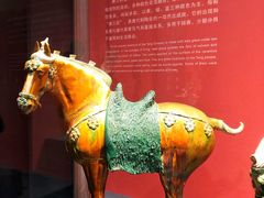 -陕西历史博物馆