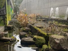 -中国湿地博物馆