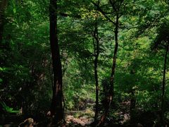 -白云源风景区