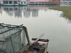 -君豪蟹都·湖景·农家乐(蟹舫苑店)