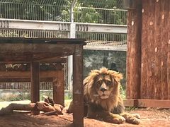 -昆明动物园