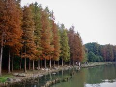 -长广溪湿地公园
