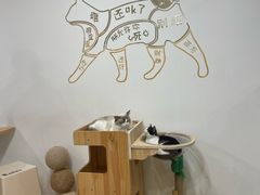 -有喵·猫咖·狗咖·30几只猫10只小狗(岗厦店)