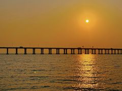 -宝安西湾红树林湿地公园