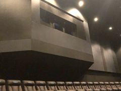 -万达影城(西铁营万达广场IMAX店)