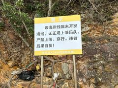 -鹿嘴山庄