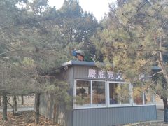 -北京麋鹿生态实验中心