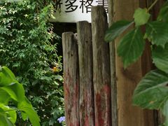 -斯多格书乡(北京大学畅春园店)