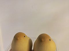 -好利来(朝外店)