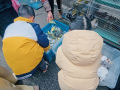 -苏州市皮市街花鸟工艺品市场