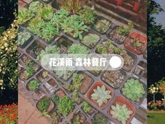 景观位-花溪雨·森林餐厅(石基店)