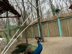 -水上乐园·欢乐世界