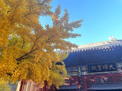 -红螺寺