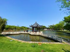 -江心屿景区