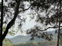 -阳台山自然风景区