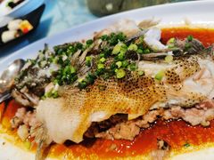 -金满楼(天河中路店)