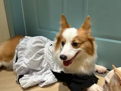 -观音桥步行街