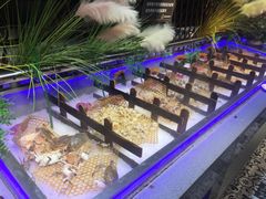 -格瑞欧海鲜自助烤肉火锅(光彩店)