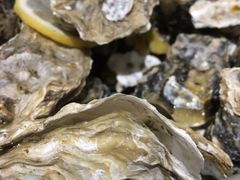 锑锅蒸生蚝-蚝英雄·自助烤蚝(建设路店)