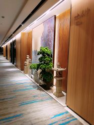 -MJ skin care国际皮肤管理中心