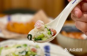 Fortune Salted Pork Rice